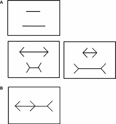 The Perception of the Müller-Lyer Visual Illusion in Schizophrenics and Non-human Primates: A Translational Approach